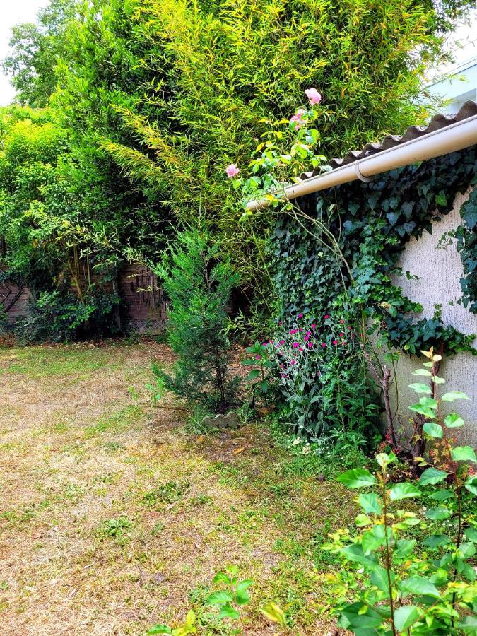Villa Avec Piscine A Бордо Экстерьер фото
